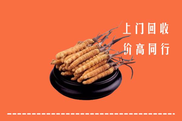 高价求购：延安市回收散虫草