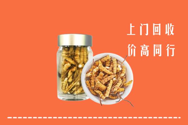 延安市回收冬虫夏草